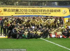 九游app下载链接-武汉三镇绝杀上海申花